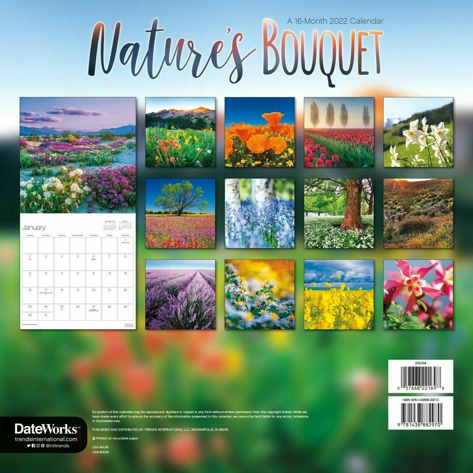 Trends International 2022 Nature's Bouquet Wall Calendar | Etsy