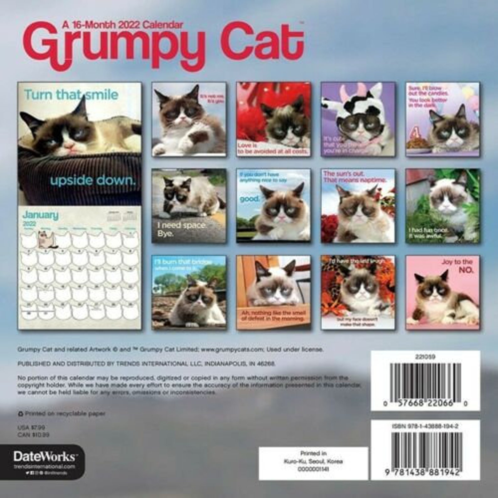 Trends International 2022 Grumpy Cat Mini Wall Calendar | Etsy