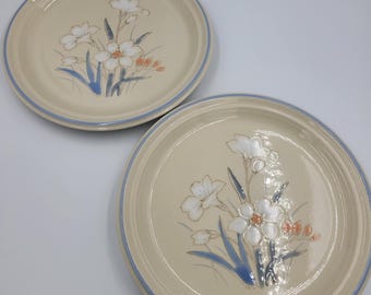 1980s Studio Nova Expressions Glory Plates, Cream & Blue, Set of 4,  Replacement  Pieces, Watercolor Floral, MCM Boho Kitchen, Made in Japan