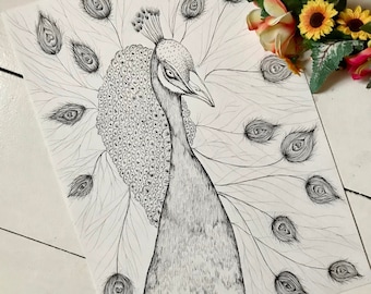 Peacock, black and white drawing