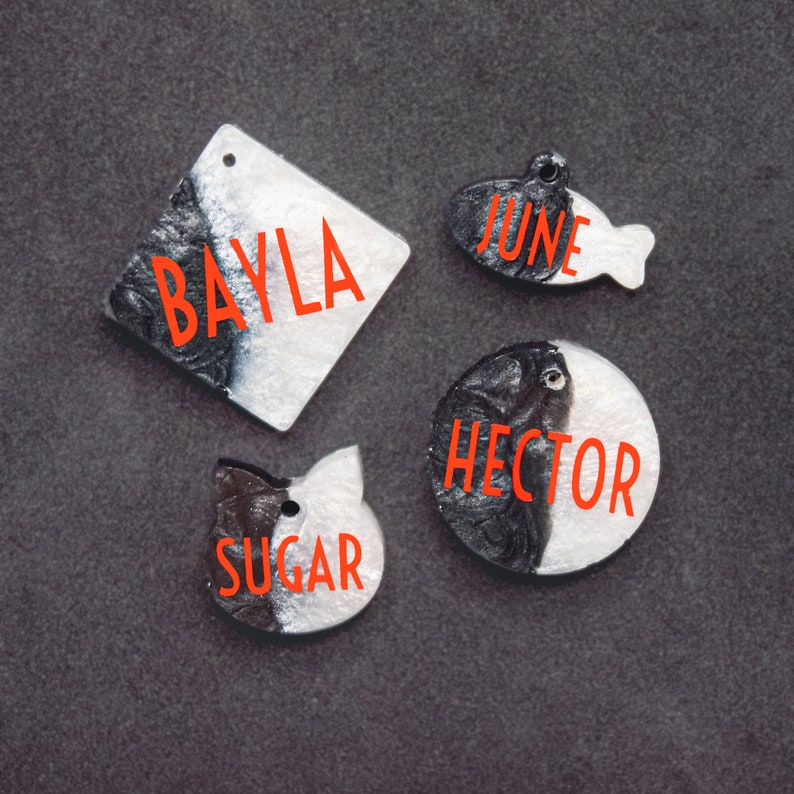 May include: Four black and white pet ID tags with orange text. The tags are shaped like a square, a fish, a circle, and a cat head. The names on the tags are Bayla, June, Hector, and Sugar.
