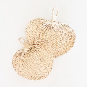 50ct Bulk Natural Raffia Hand Fans