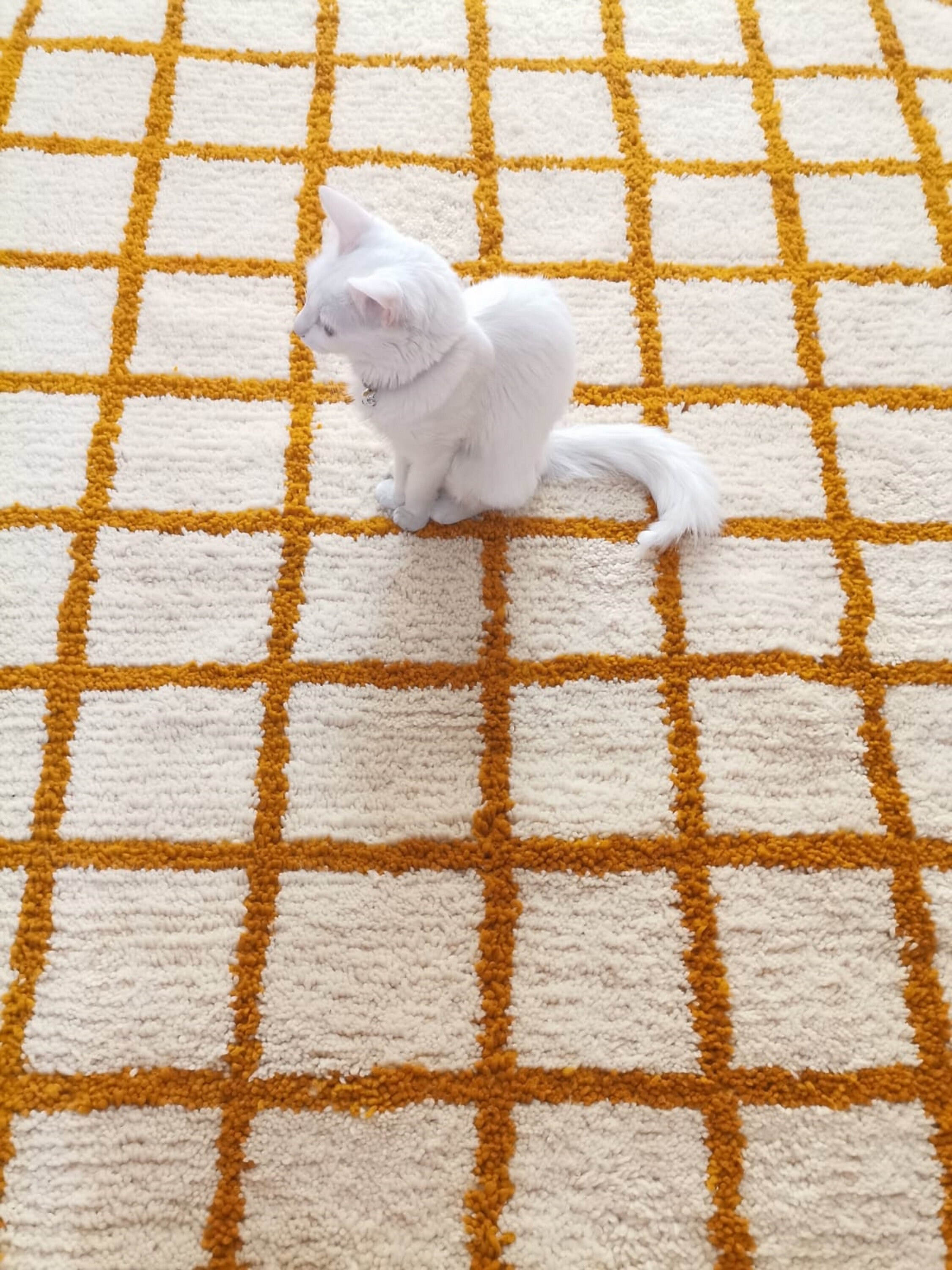 Custom Moroccan Grid Rug Orange Turmeric Yellow - Etsy