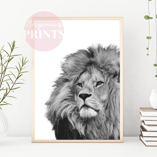 Black and White Animal Prints Safari Animals Nursery Prints Etsy