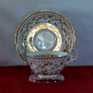 Royal Grafton Bone China Tea Cup and Saucer Made in England