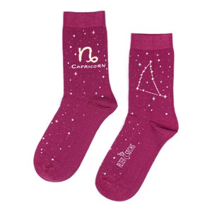 Capricorn zodiac socks | cool socks | Capricorn zodiac | fun socks | zodiac sign | cute gift | astrology | gift for friend