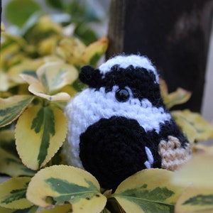 Op de afbeelding: Een gehaakte zwart-witte vogel met een bruine snavel en zwarte ogen. De vogel zit op een bed van gele en groene bladeren.