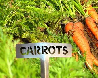 Brushed Stainless Steel Garden Marker - Carrots, Vegetable Marker