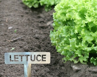 Brushed Stainless Steel Garden Marker - Lettuce, Vegetable Marker