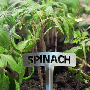 Brushed Stainless Steel Garden Marker Spinach, Vegetable Marker image 1