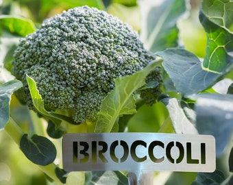 Geborsteld RVS Tuin Marker - Broccoli, Groente Marker