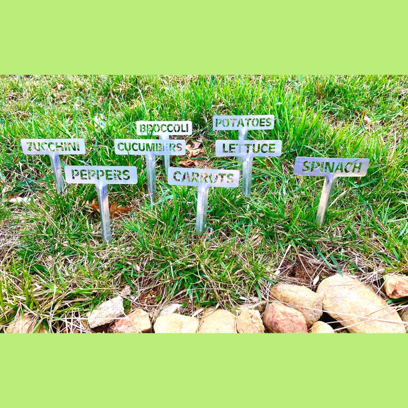 Brushed Stainless Steel Garden Marker Spinach, Vegetable Marker image 2