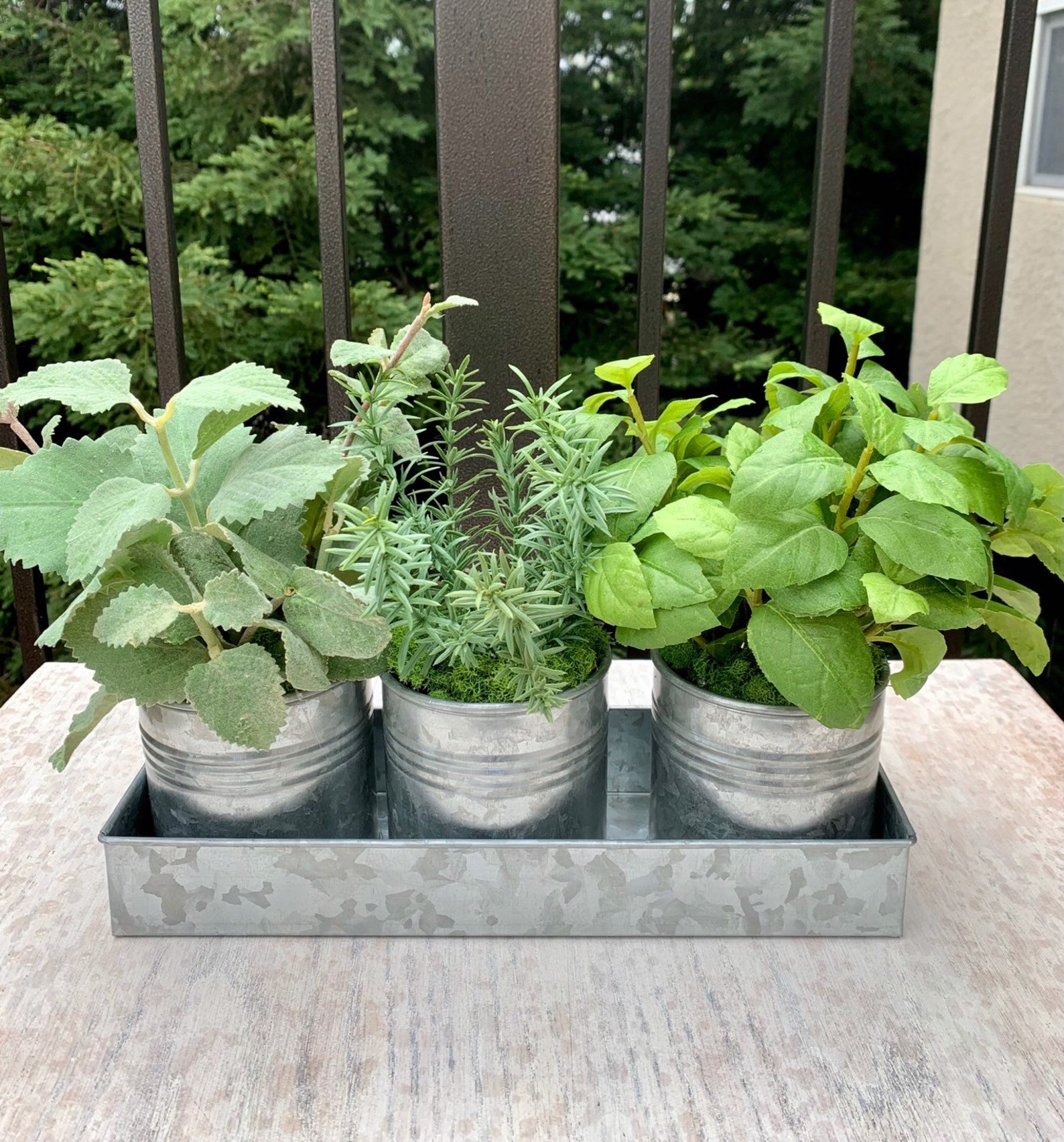 Kitchen Herb Arrangementgalvanized Pots in Tray Etsy