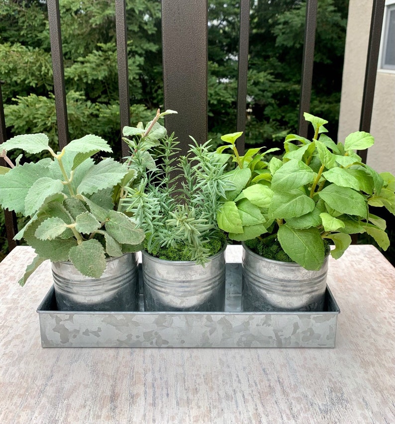 Kitchen Herb Arrangementgalvanized Pots in Tray Etsy