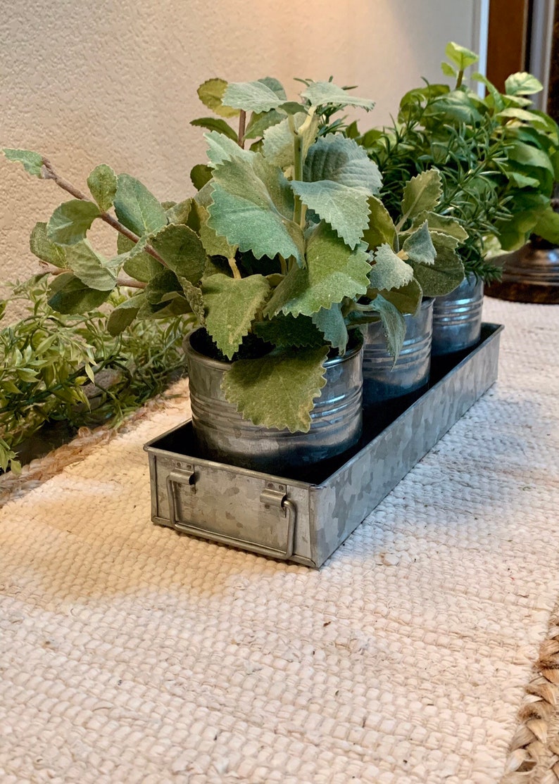 Kitchen Herb Arrangementgalvanized Pots in Tray Etsy