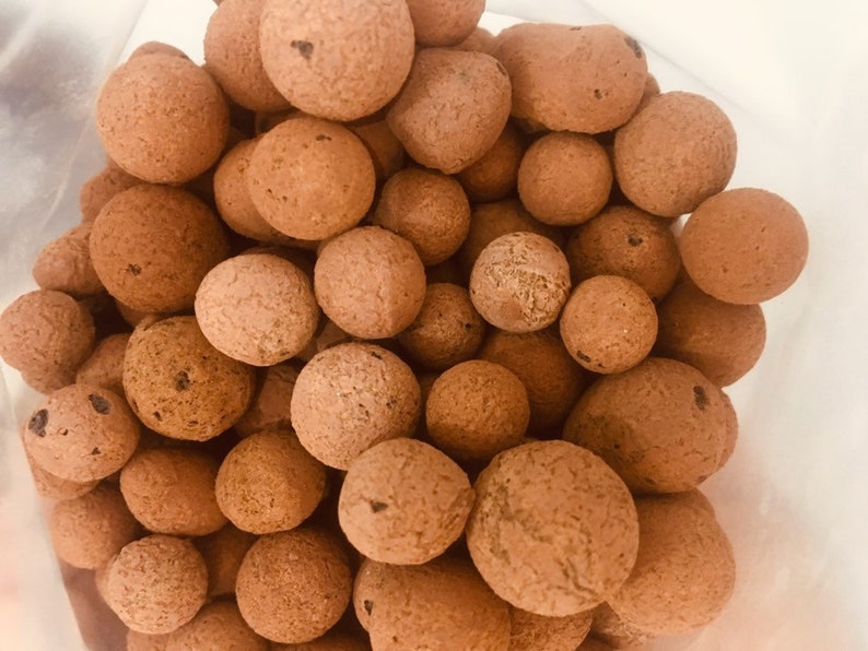 Clay Balls / LECA / Expanded Clay / Clay Pebbles Plant Etsy