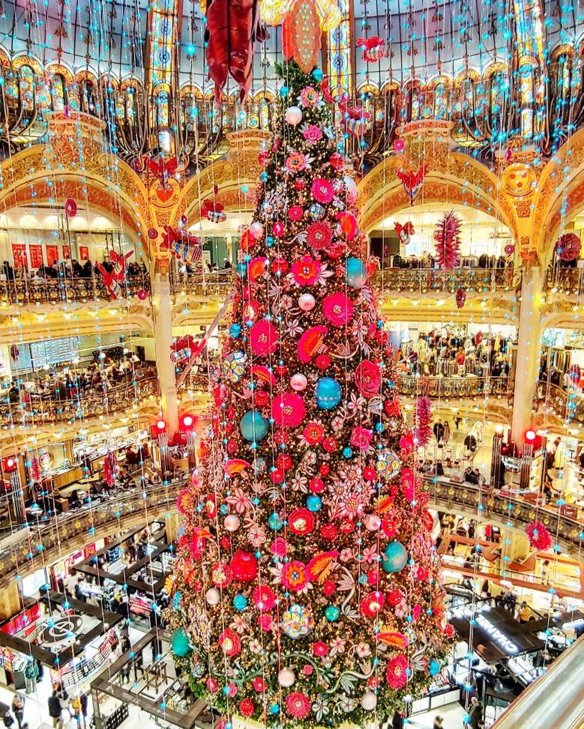 Christmas Tree Lafayette Paris France 8x10 Etsy
