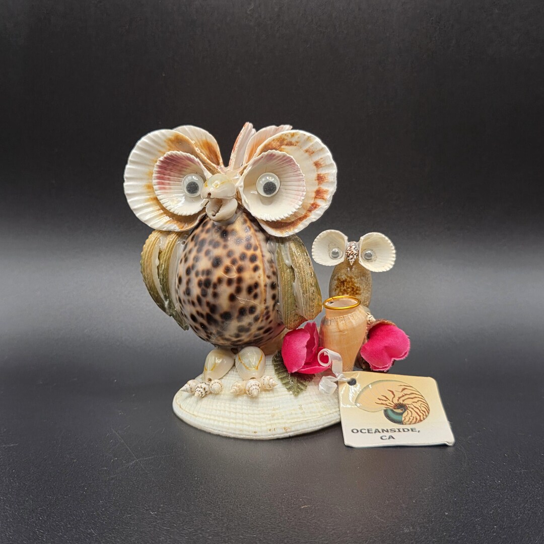 Shell Owl Handmade Seashell Art Owl Sculpture - Etsy
