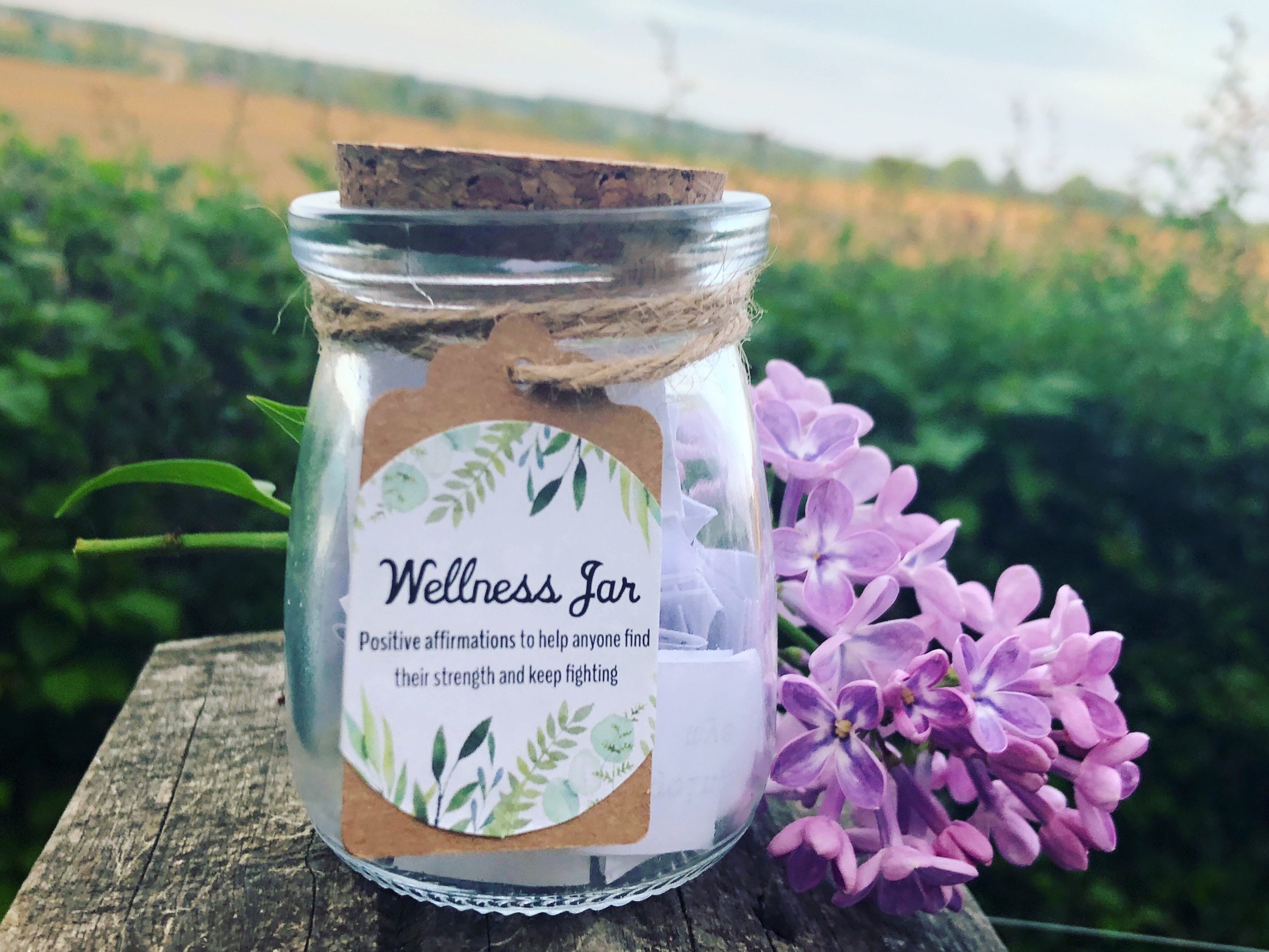Positivity Jar Wellness Jar and Hope Jar Bundle for Mental Etsy