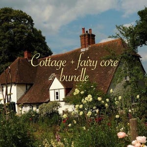 Cottage core + fairy core mystery accessory bundle