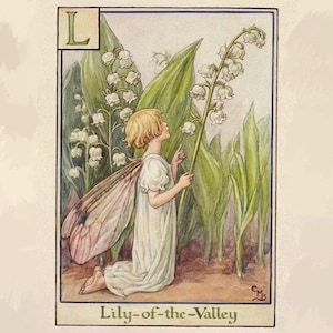 Cottage core + fairy core mystery accessory bundle image 11