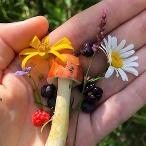 May include: A hand holding a collection of natural elements. A red-capped mushroom with a white stem is surrounded by a yellow flower, a daisy, berries, and other small flowers. The scene is set against a blurred green background.