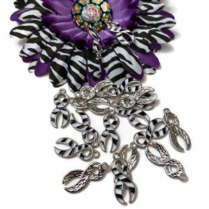 May include: A group of silver-toned metal charms shaped like zebra-striped ribbons. The charms have a loop at the top for attaching to a bracelet or necklace.