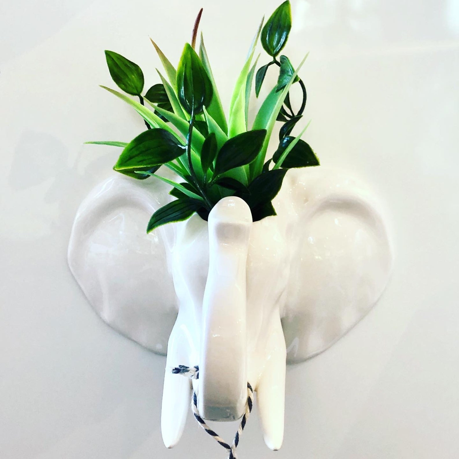 Elephant Wall Planter / Wall Planter / Elephant Gifts / Etsy