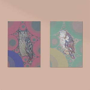 Due grafiche originali Ritratti colorati di falchi e gufi Set di grafiche stampabili