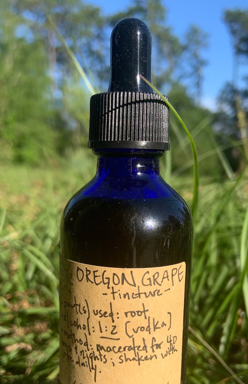 Tincture - OREGON GRAPE (Berberis aquifolium)