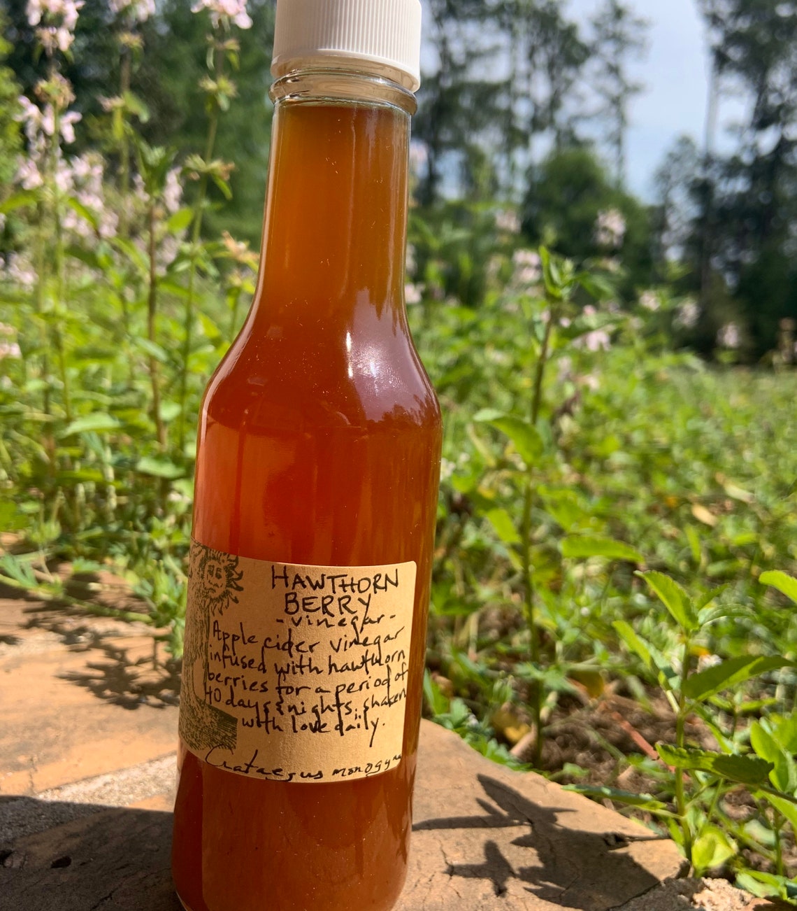 Vinegar HAWTHORN BERRY Etsy