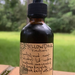 Tincture - YELLOW/CURLY DOCK (Rumex crispus)