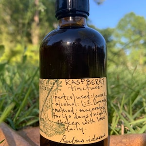 Tincture - RASPBERRY LEAF (Rubus ideaus)