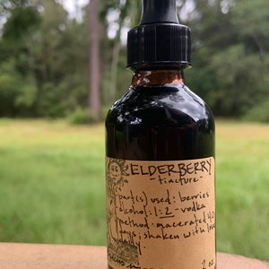 Tincture - ELDERBERRY (Sambucus nigra)