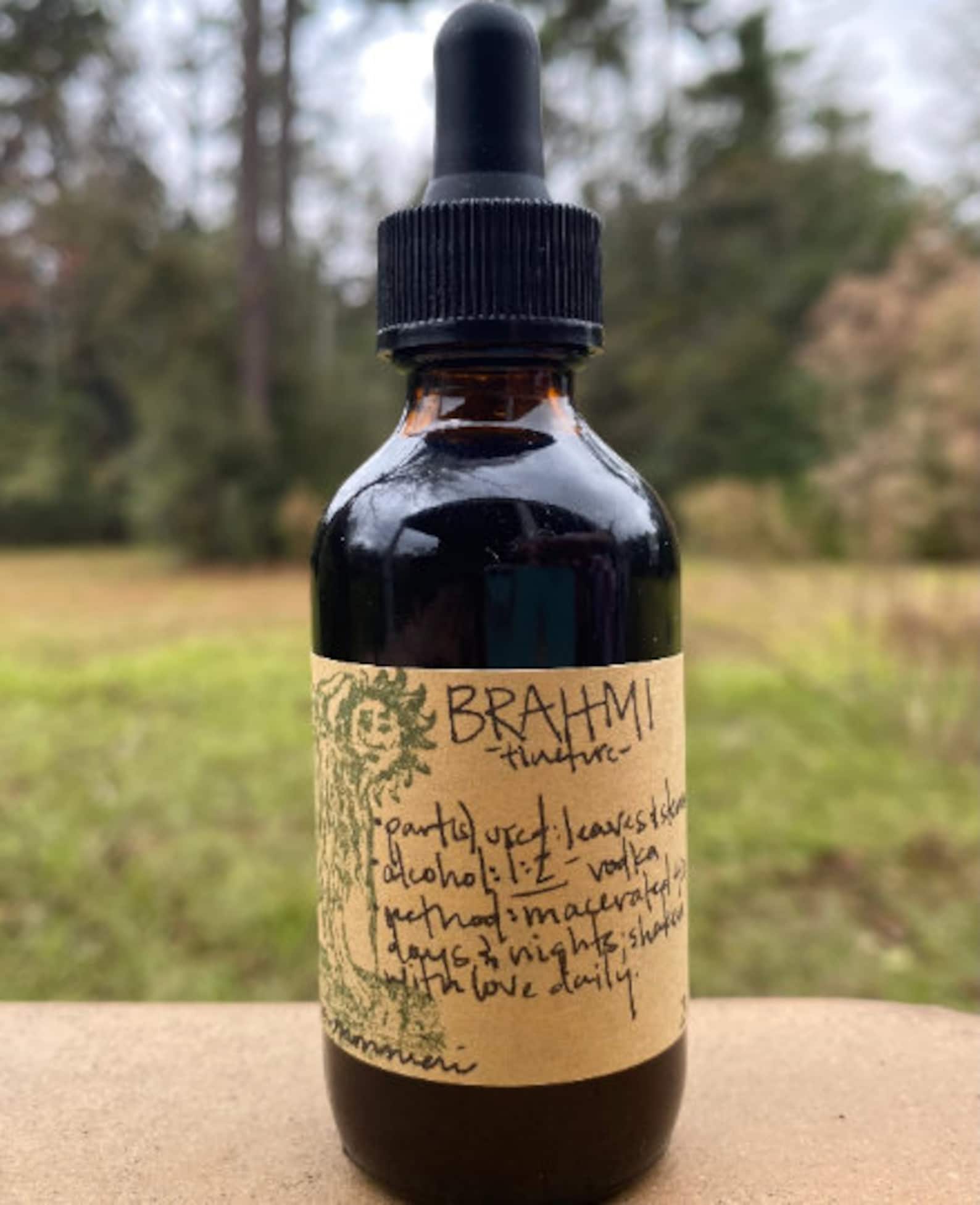 Etsy Brahmi (Bacopa Monnieri) Tincture product image