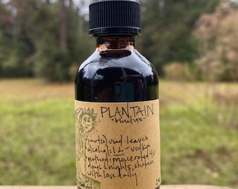 Tincture - PLANTAIN (Plantago lanceolata)