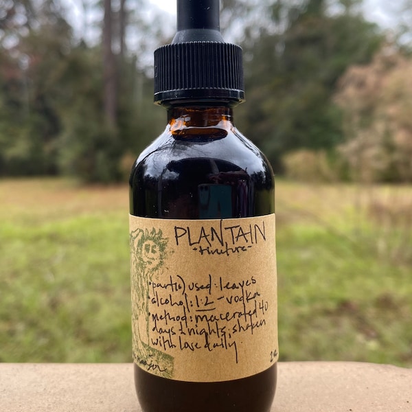 Tincture - PLANTAIN (Plantago lanceolata)