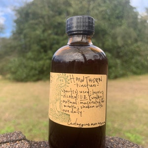 Tincture - HAWTHORN (Crataegus monogyna)