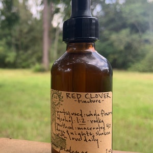 Tincture - RED CLOVER (Trifolium pratense)