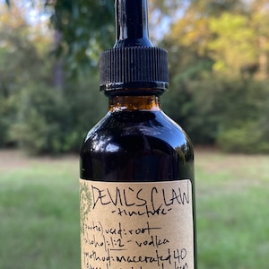 Tincture - DEVIL’S CLAW (Harpagophytum procumbens)