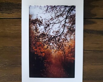 Herbst Wald Karte | Herbst-Trail-Karte | Foggy Herbst Karte | Natur-Foto-Karte | Landschaftsfoto | Naturbild | Grußkarte | Leere Karte