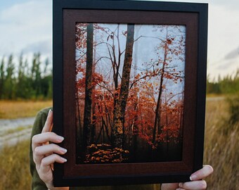 Autumn Forest Photography | Autumn Forest Wall Art | Foggy Forest Print | Nature Photography | Fall Decor | Home & Office Decor | Wall Art