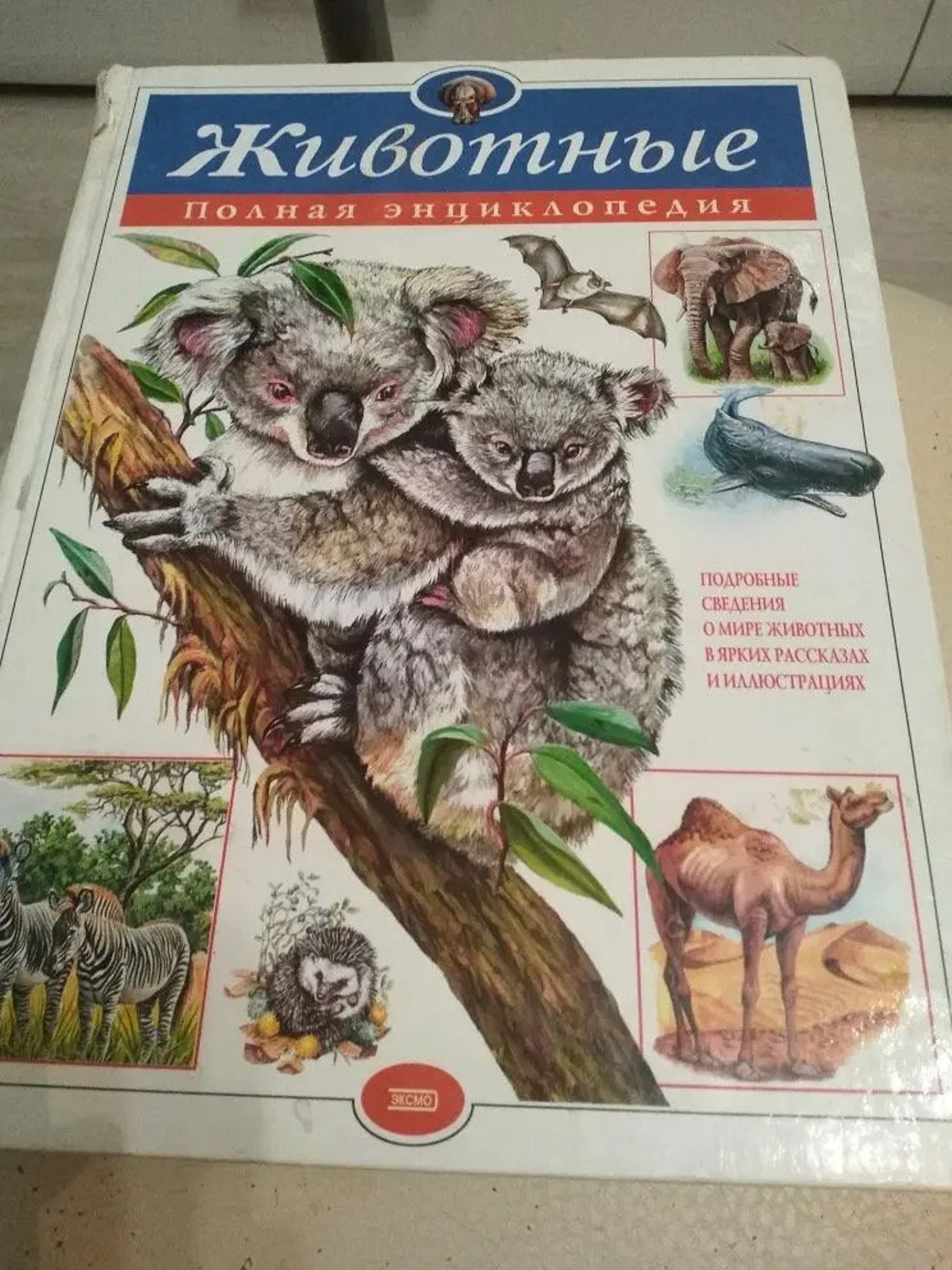 Vintage animals complete encyclopedia stories and Etsy