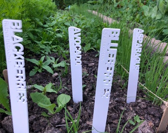 Large Vegetable, Fruit, and Herb Yard or Garden Stakes with Scientific Names Engraved / Educational Plant Markers / Custom Stakes Available