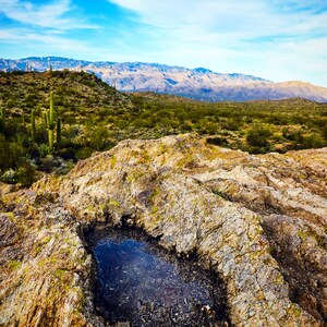 Regenwasser in der Arizona Wüste