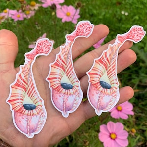 Sticker Népenthes veitchii