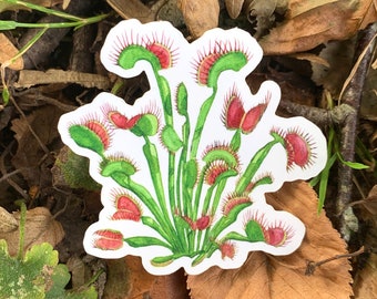 Dionaea muscipula sticker