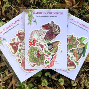 Stickerset vleesetende planten