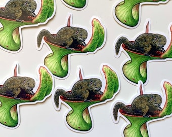 Tupaia Montana and Nepenthes lowii sticker