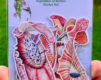Nepenthes of Borneo Sticker Set